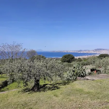 Dimora Ulivi B Ercolano