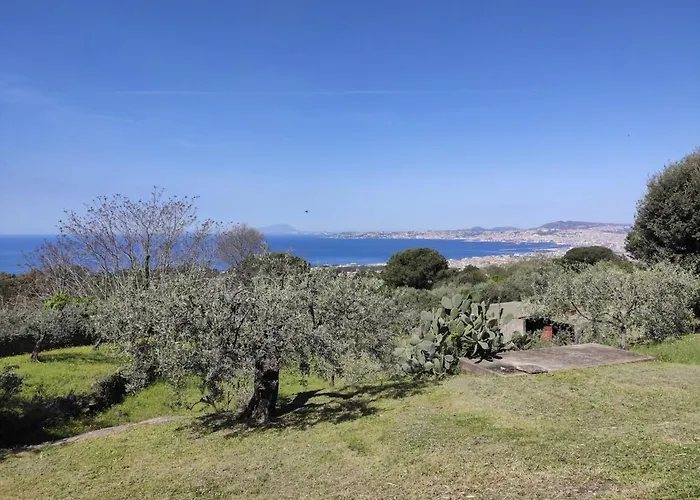 Dimora Ulivi B * Ercolano