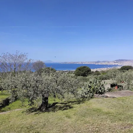 Dimora Degli Ulivi - Vesuvio * Ercolano