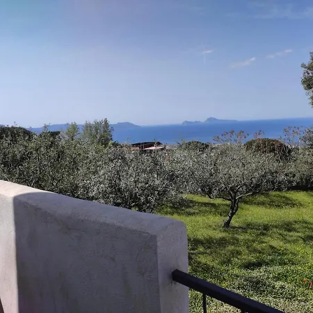 Dimora Degli Ulivi B - Vesuvio Apartamento